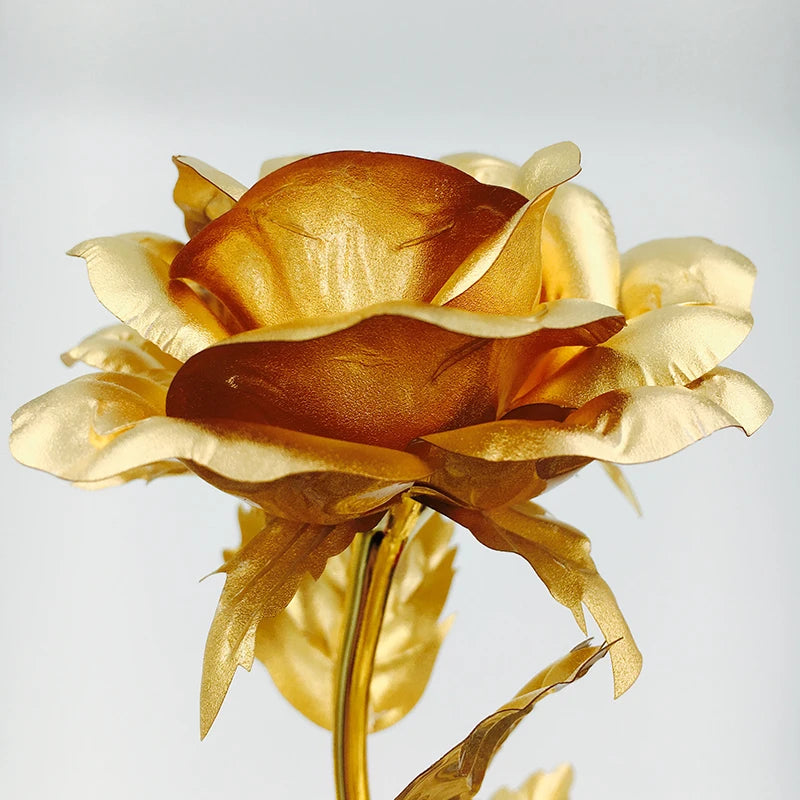 DE GOUDEN ROOS