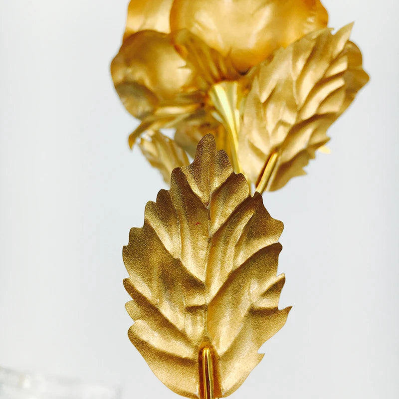DE GOUDEN ROOS