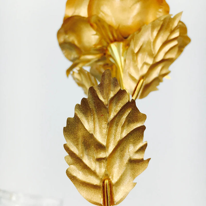 DE GOUDEN ROOS