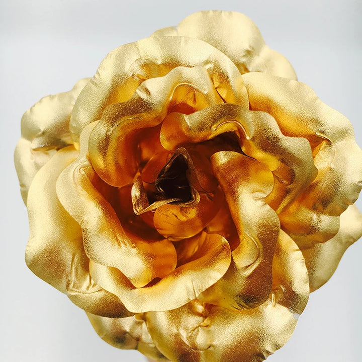 DE GOUDEN ROOS